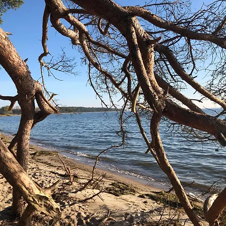 펜션 Reetdachhaus Weissdorn 1 Puddemin