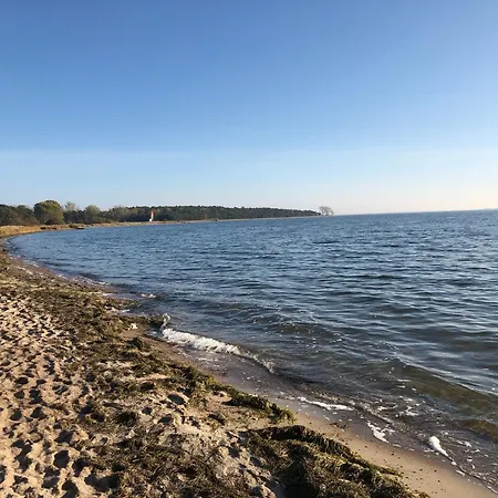 Reetdachhaus Weissdorn 1