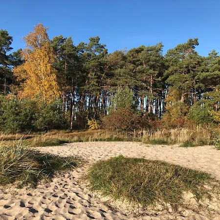 펜션 Reetdachhaus Weissdorn 1