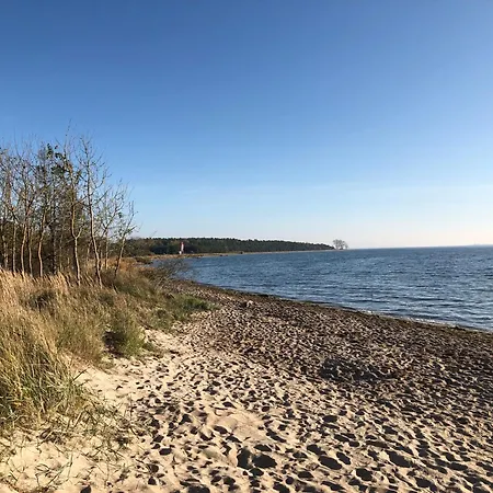 펜션 Reetdachhaus Weissdorn 1