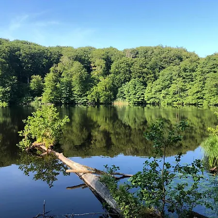 Reetdachhaus Weissdorn 1 펜션 *