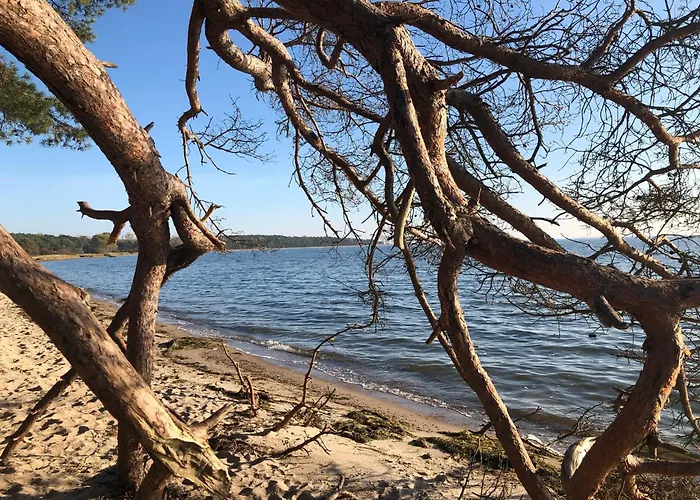 別荘 Reetdachhaus Weissdorn 1 Puddemin