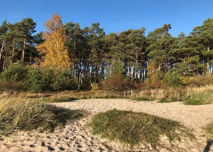 別荘 Reetdachhaus Weissdorn 1